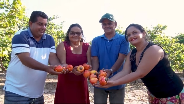 Família duplica produção de caju com orientação do Senar