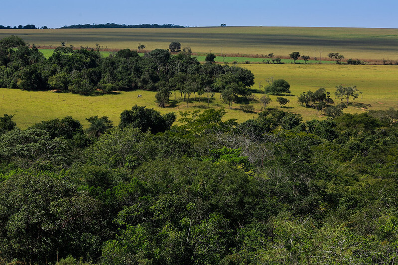 Sistema CNA/Senar, Embrapa e Serviço Florestal Brasileiro assinam acordo de cooperação do Projeto PraValer
