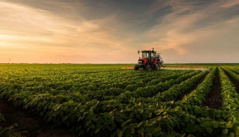 Agronegócio brasileiro bate recorde de receita com exportações em agosto