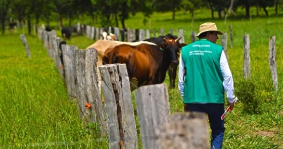 SENAR/MS abre inscrições para processo seletivo de Técnicos de Campo do Projeto ABC Cerrado