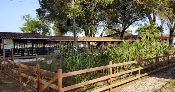 Tecnologia que reaproveita água para plantação será apresentada na Festa do Boi