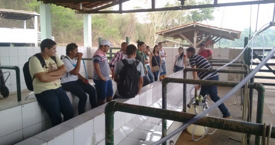 Alunos do Curso Técnico em Agronegócio do SENAR Tocantins participam de aula de campo em Araguatins