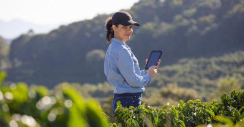 Diferenças entre os Cursos Técnicos em Agricultura e Agronegócio do Senar
