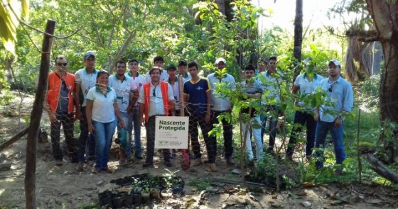 Tocantins se mobiliza para proteger nascentes