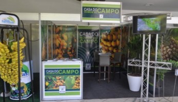 casa do campo 1