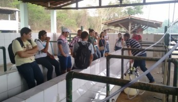 aula_de_campo_em_araguatinsweb