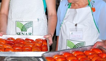 9170-senar-processamento-tomate_web