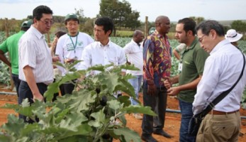 Programa ProSavana terá novas ações do SENAR Brasil nos próximos meses