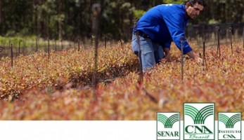 Projetos e Programas do Sistema CNA SENAR conciliam produção e conservação ambiental