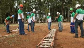 SENAR-MT oferece mais de 200 treinamentos em junho