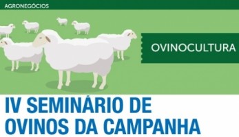 iv_seminario_de_ovinos_da_campanha