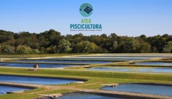 10512-workshop-piscicultura