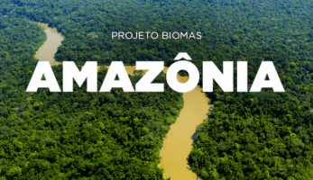 cna_post_biomas-amazonia