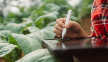 Uma pessoa segurando um tablet no campo