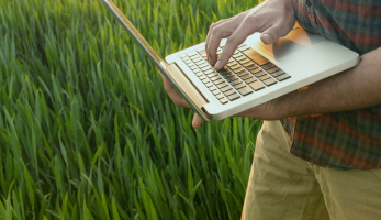 Uma pessoa mexendo no notebook em um ambiente no campo