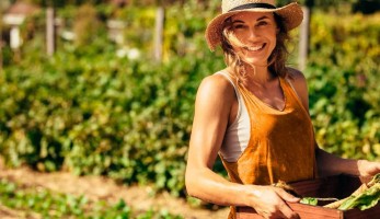 CNA anuncia que produtor rural será atendido desde a produção até a comercialização