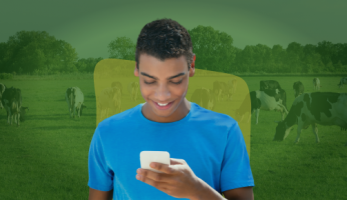 um jovem sorridente olhando para o celular e algumas vacas no campo ao fundo