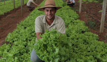 https://cnabrasil.org.br/noticias/cna-discute-uso-de-selos-de-identificacao-e-plano-safra-na-agricultura-familiar