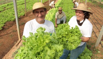 CNA discute cadastro da agricultura familiar, recursos do Pronaf e emissão de nota fiscal eletrônica