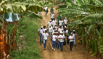 Grupo de alunos do Senar e-Tec caminhando em uma plantação de bananas